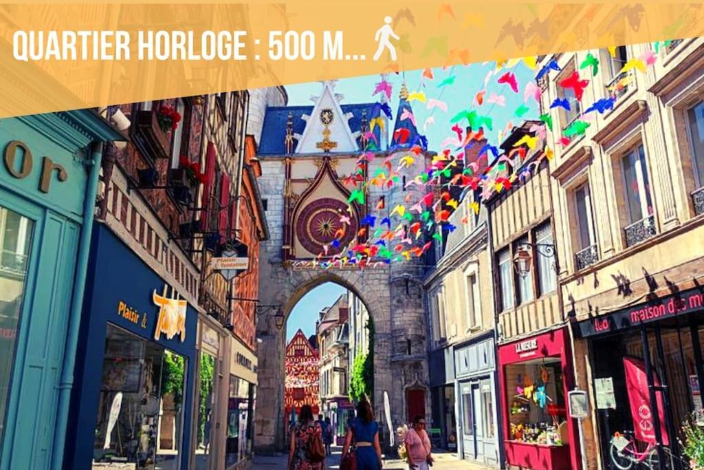 La Belle Vie - Appartement Cosy Au Centre-Ville Auxerre Kültér fotó